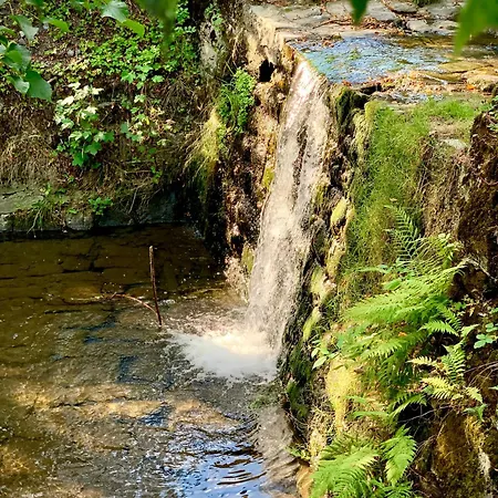 Nad Mlynowka Appartement Ustron