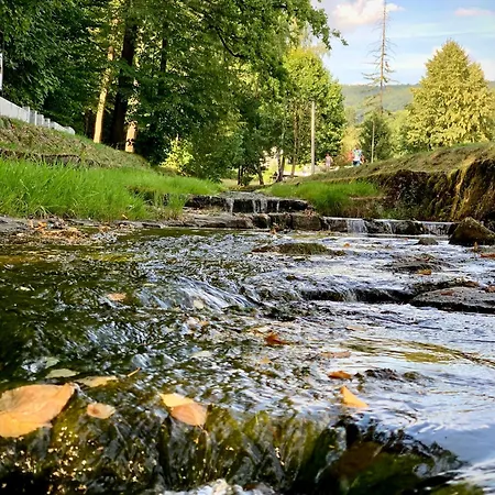 Nad Mlynowka Appartement Ustron