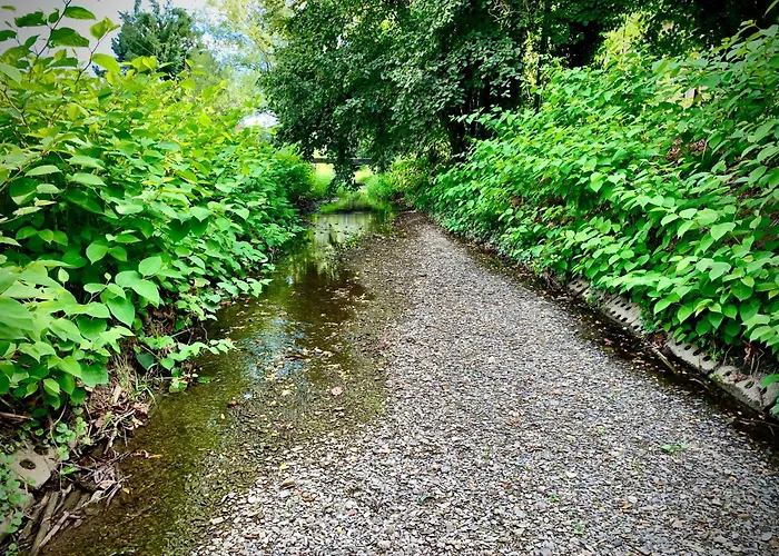 Nad Młynówką * Ustroń