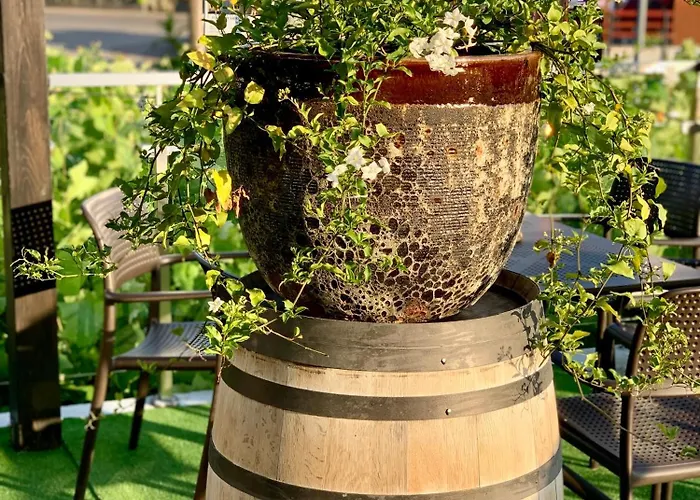 Nad Młynówką Apartament *