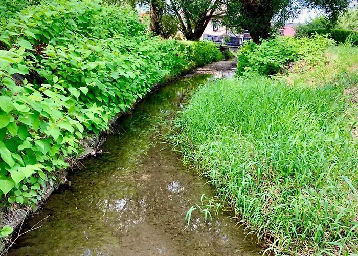 Nad Młynówką Apartament