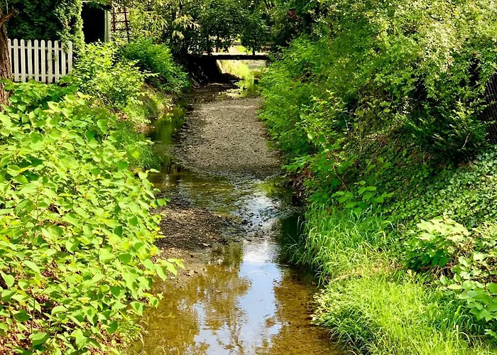 Nad Młynówką Apartament *